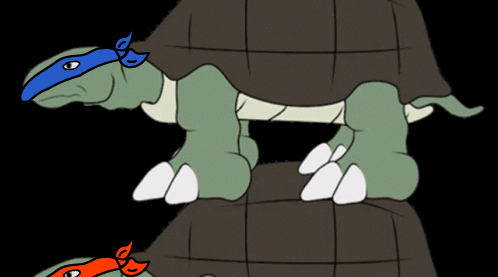 ninja turtles all the way down